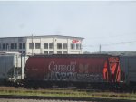 CP 606481